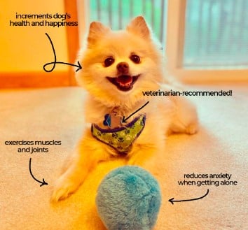 Automatyczne ruchome zabawki przeciwlękowe dla psów i kotów